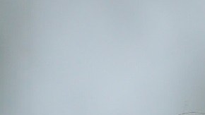 ¿Crees que Trudeau y Castro se parecen?