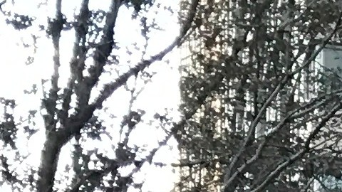 Largas filas en el centro de votación ubicado en el Fashion Instituted of Technology, en la calle 27 y Séptima avenida.