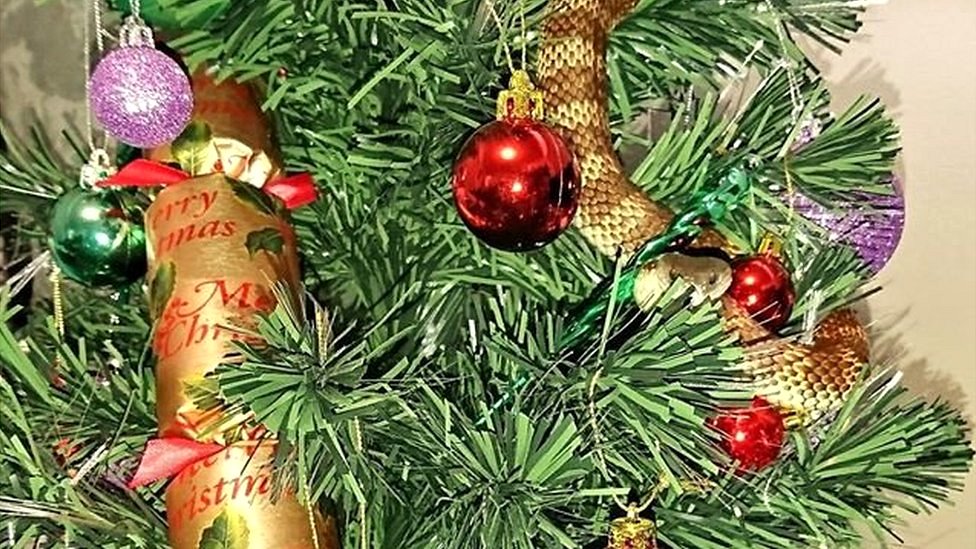 Esto es lo que nunca querrías encontrar enroscado en tu árbol de Navidad
