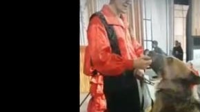 La presentadora se acercó para acariciar al animal, sin prever lo que le esperaba.