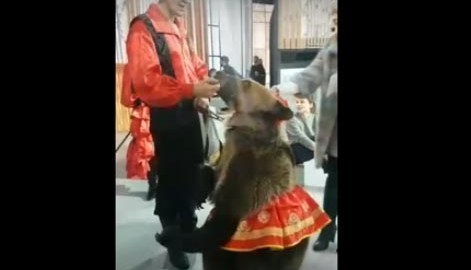 La presentadora se acercó para acariciar al animal, sin prever lo que le esperaba.