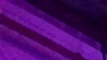 Fiesta en una bodega del distrito industrial de Sunset Park, Brooklyn.