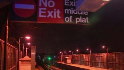 El menor brincó a la plataforma de la estación de New Lots, en Brownsville.