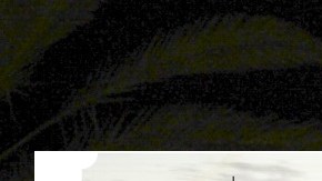 Los hijos de Donald Trump están en medio de un escándalo de recaudación.