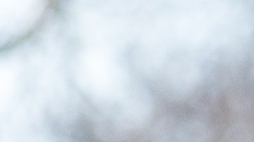 Este viernes y sábado el termómetro descenderá a los niveles característicos de enero.