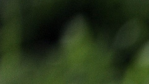 El Programa de Trabajadores Agrícolas Temporales México-Canadá comenzó en 1974.