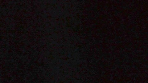 Jocelyne Wildenstein se ha realizado varias cirugías estéticas.