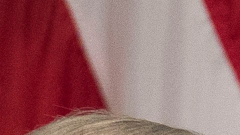 En septiembre de este año, Barack Obama realizó una visita oficial a Israel.