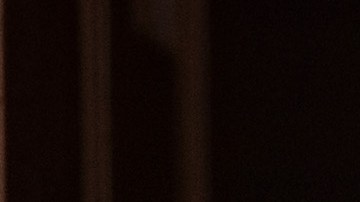 El presidente electo Donald Trump anunciará los detalles del acuerdo con Carrier.