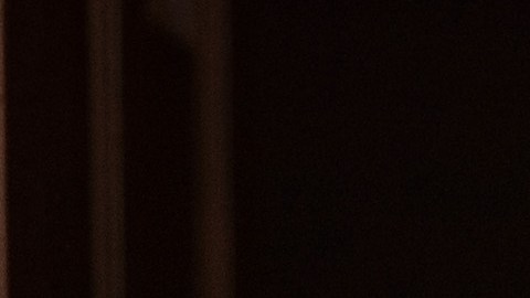 El presidente electo Donald Trump anunciará los detalles del acuerdo con Carrier.