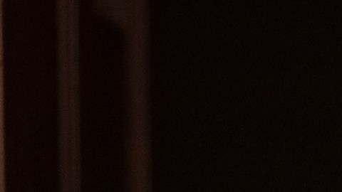 El presidente electo Donald Trump anunciará los detalles del acuerdo con Carrier.