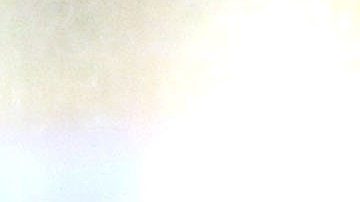 Scott Pruitt  se reunión con Trump el pasado miércoles.