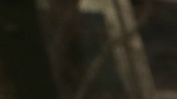 El Día Internacional de Migrante fue el momento perfecto para pedirle a Trump evitar políticas antimigratorias.