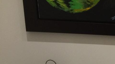 "No importa donde estemos mientras estemos juntos", dice Adamari de su familia.