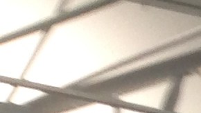 El primer panel discute los derechos de los solicitantes de trabajo.