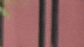 Kirsten y Stella paseando juntas por las calles de Savannah, Georgia.