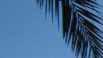 Revelan nombres de 33 víctimas mortales de Orlando, en su gran mayoría latinas