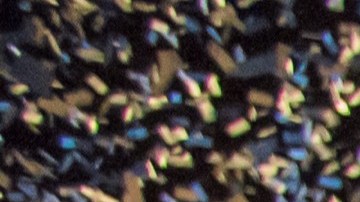 Entre los nuevos 555 policías está María Jorge Sánchez de República Dominicana.