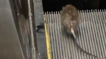 La comunidad pide un mejor servicio de transporte subterráneo, pero se opone a los cierres por reparaciones