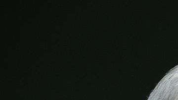 Rex Tillerson, fue CEO de Exxon y Secretario de Estado