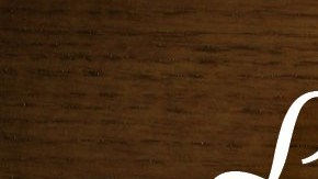 La campaña aparecerá en anuncios de televisión y periódicos, así como en las estaciones y vagones del Subway y en los autobuses de toda la ciudad.