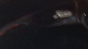 Lorelei Salas, comisionada del Departamento de Asuntos del Consumidor, informó el jueves de los nuevos salarios a empresarios en NYC./Cortesía