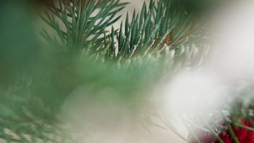 navidad