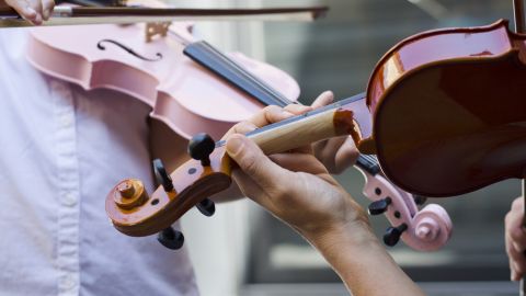 violin