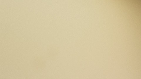 El tamaño y sobre todo la edad de una empresa es lo que más influye en el crecimiento de empleo./Shutterstock