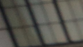 La inmigrante de Republica Dominicana, Katherine Asunción protesta en frente del edificio Trump Tower en Manhattan en defensa del Obamacare.