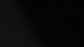 Tren de la linea 6.
Metro de la Ciudad de Nueva York.
Foto Credito: Mariela Lombard / El Diario NY.