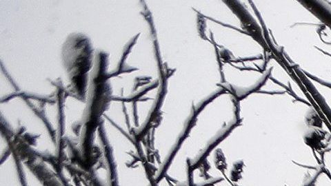 MHR05 NUEVA YORK (ESTADOS UNIDOS), 05/03/2015.- Un hombre pasea a sus perros en los alrededores del puente de Brooklyn cubiertos de nieve en la orilla de Brooklyn del East River en Nueva York, Estados Unidos, hoy, jueves 5 de marzo de 2015. Se espera que en el área de la ciudad de Nueva York la nieve alcance un espesor de entre 10 y 20 centímetros. EFE/Andrew Gombert