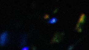 Recibiendo el 2017, Times Square, NYC.