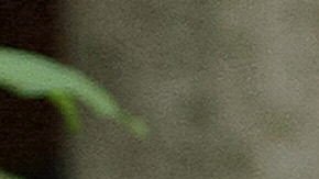 GRA207. MADRID, 06/01/2017.- Ricardo Piglia falleció a los 75 años tras varios años luchando contra una Esclerosis Lateral Amiotrófica (ELA), según confirmó el ministro de Cultura argentino Pablo Avelluto. EFE/Archivo/Ricardo Maldonado Rozo