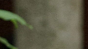 GRA207. MADRID, 06/01/2017.- Ricardo Piglia falleció a los 75 años tras varios años luchando contra una Esclerosis Lateral Amiotrófica (ELA), según confirmó el ministro de Cultura argentino Pablo Avelluto. EFE/Archivo/Ricardo Maldonado Rozo