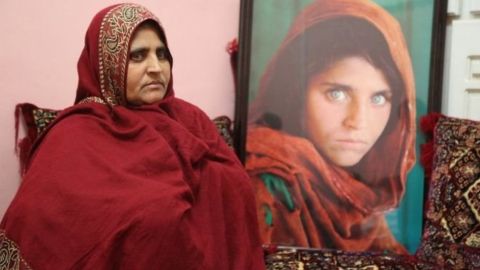 Sharbat Gula