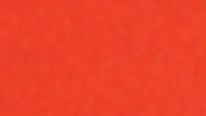 "Por mi pelo la gente pensaba que era una mezcla entre negro y blanco", declaró.