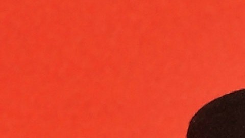 "Por mi pelo la gente pensaba que era una mezcla entre negro y blanco", declaró.