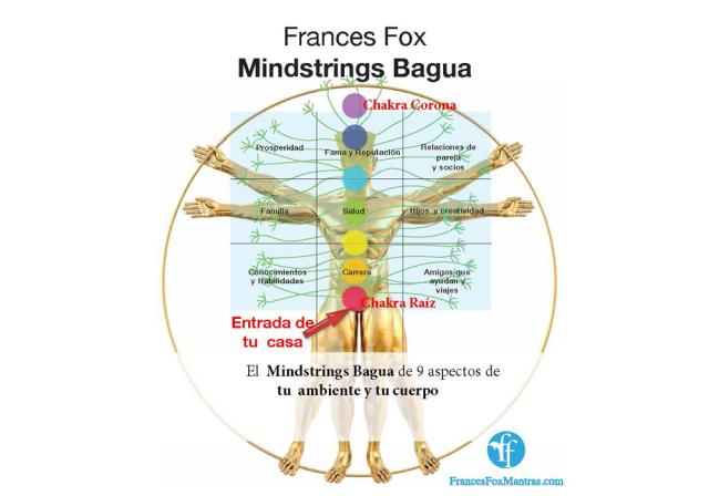 El Feng Shui de tu cuerpo - El Diario NY