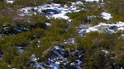 Esta maravilla sorprendió al mundo gracias a un video realizado con un dron.