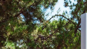 Facebook y sus productos son los favoritos de usuarios de celulares en EEUU.