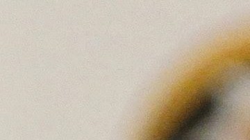 El presidente Vladimir Putin aún no ha expresado su punto de vista sobre los informes de inteligencia.