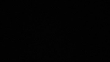 Farhadi ha sido nominado al Oscar en dos ocasiones.