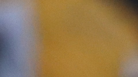 El alcalde demócrata ha ofrecido hasta el ayuntamiento como refugio.