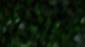 Los dos actores recorrieron el mundo juntos promocionando la cinta "Allied".