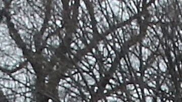 Cerca de la Casa Blanca, el presidente 45 de la nación saludó a algunos asistentes. FOTO: MARK WILSON / GETTY IMAGES