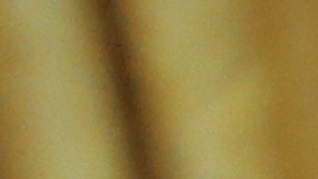 El presidente Donald Trump firmó la orden ejecutiva para permitir la construcción del oleoducto.