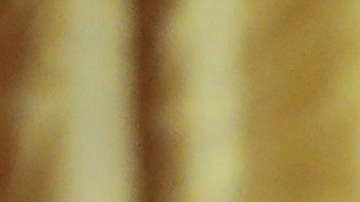 El presidente lanzó las acusaciones de "fraude electoral", sin presentrar evidencias, desde noviembre pasado.