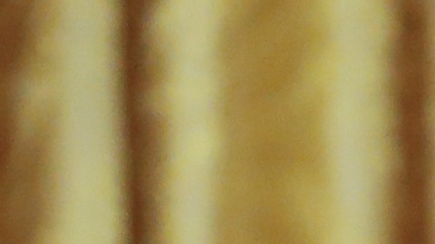 El presidente lanzó las acusaciones de "fraude electoral", sin presentrar evidencias, desde noviembre pasado.