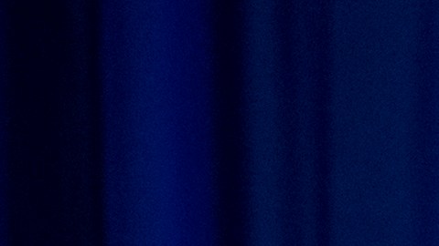 Empleadores temen que Trump obligue a las empresas a "contratar americanos", sin considerar las necesidades profesionales.